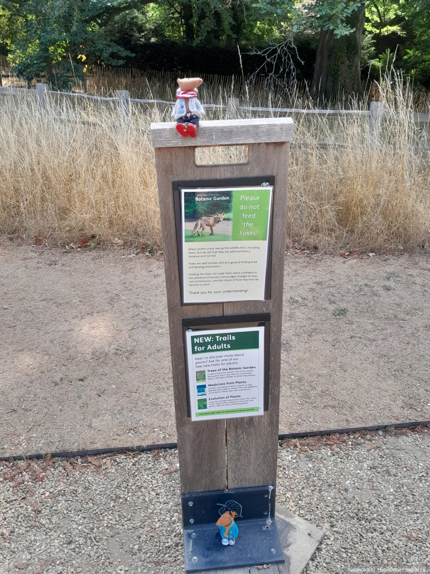 Людвиг, Нильсон и Нюша едут в Кембридж , продолжение прогулки