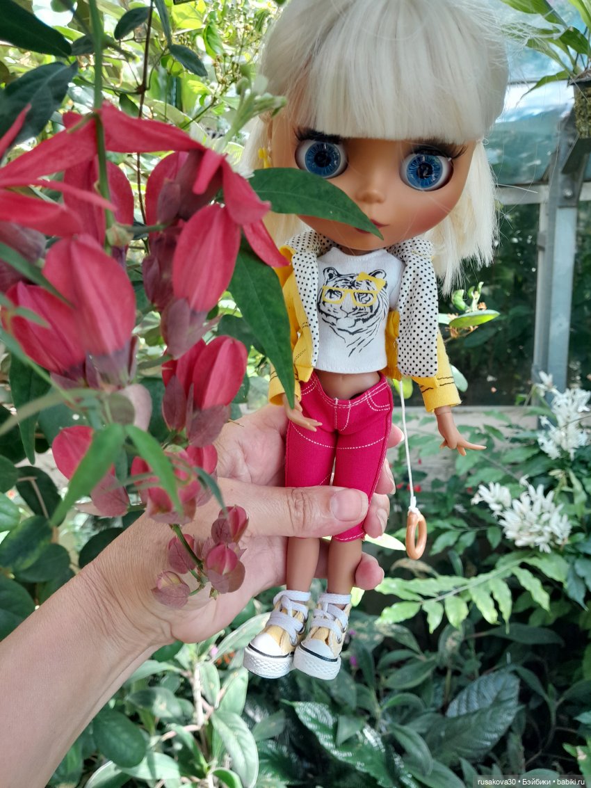 Людвиг, Нильсон и Нюша едут в Кембридж , продолжение прогулки (фото 9)