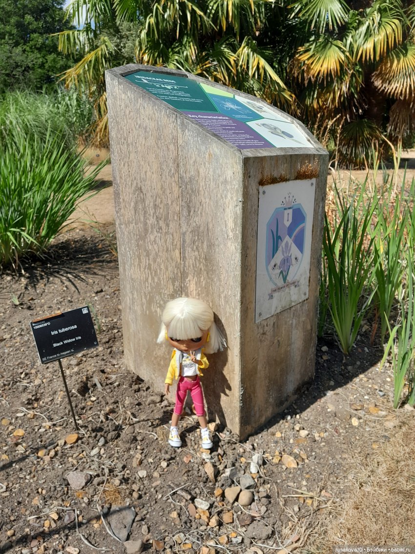 Людвиг, Нильсон и Нюша едут в Кембридж , продолжение прогулки