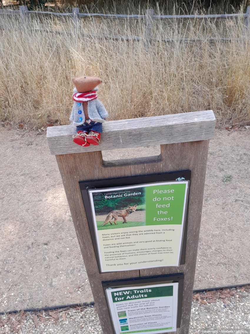 Людвиг, Нильсон и Нюша едут в Кембридж , продолжение прогулки