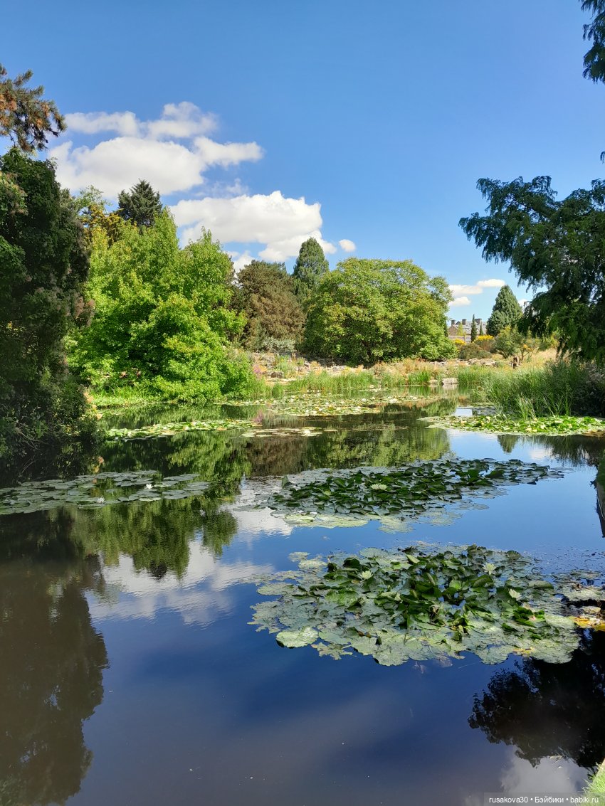 Людвиг, Нильсон и Нюша едут в Кембридж , продолжение прогулки (фото 4)