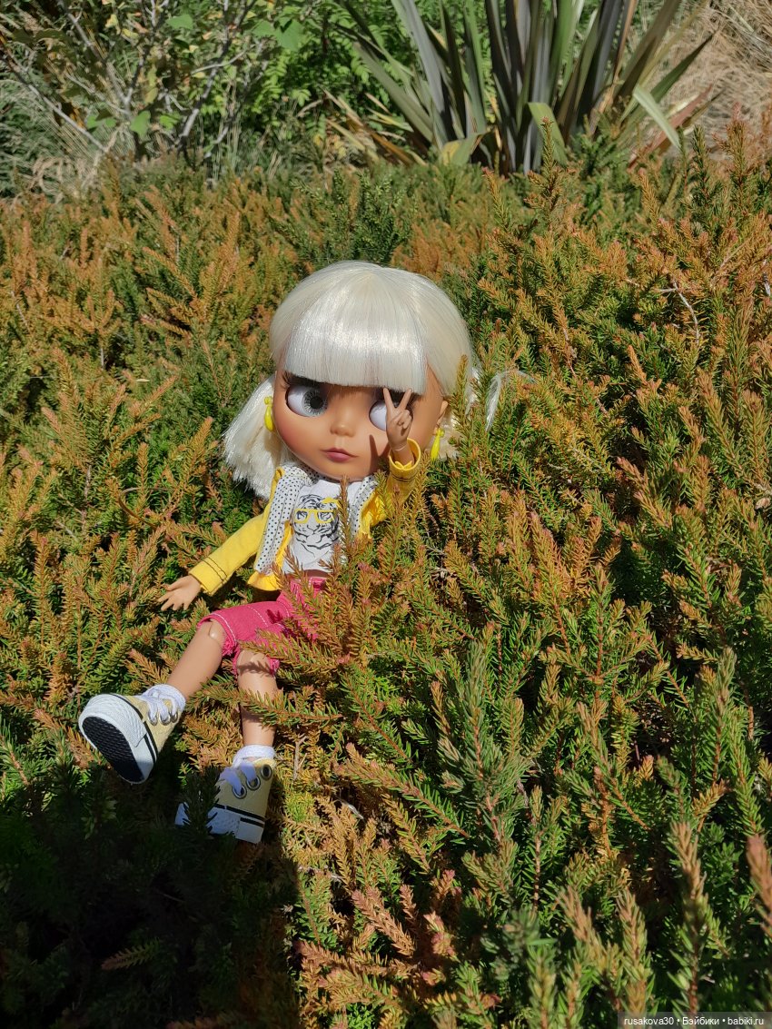 Людвиг, Нильсон и Нюша едут в Кембридж , продолжение прогулки