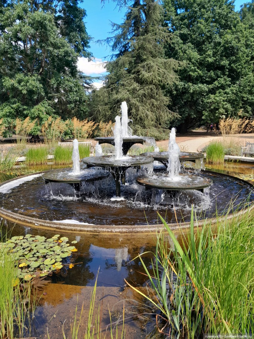 Людвиг, Нильсон и Нюша едут в Кембридж , продолжение прогулки