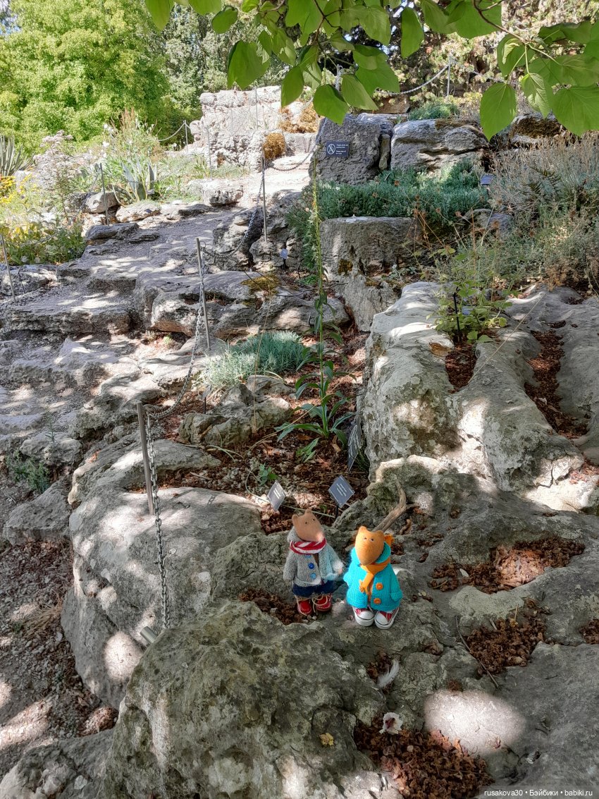 Людвиг, Нильсон и Нюша едут в Кембридж , продолжение прогулки (фото 7)