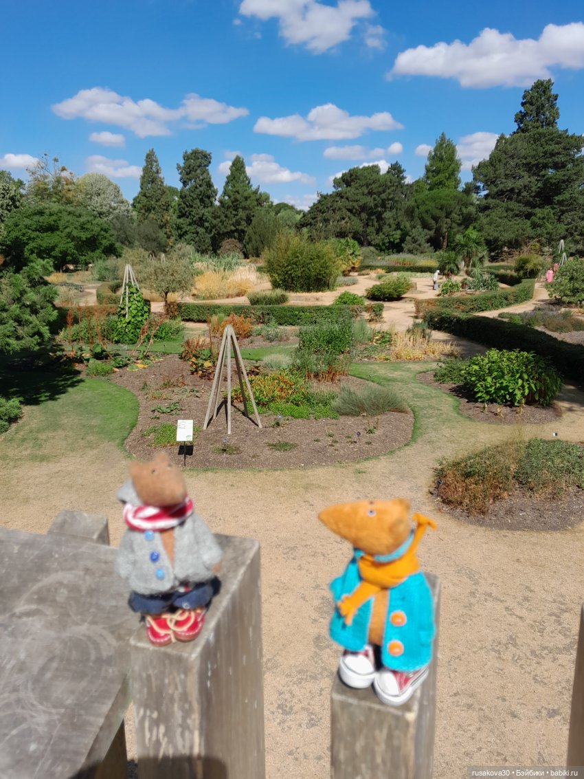 Людвиг, Нильсон и Нюша едут в Кембридж , продолжение прогулки