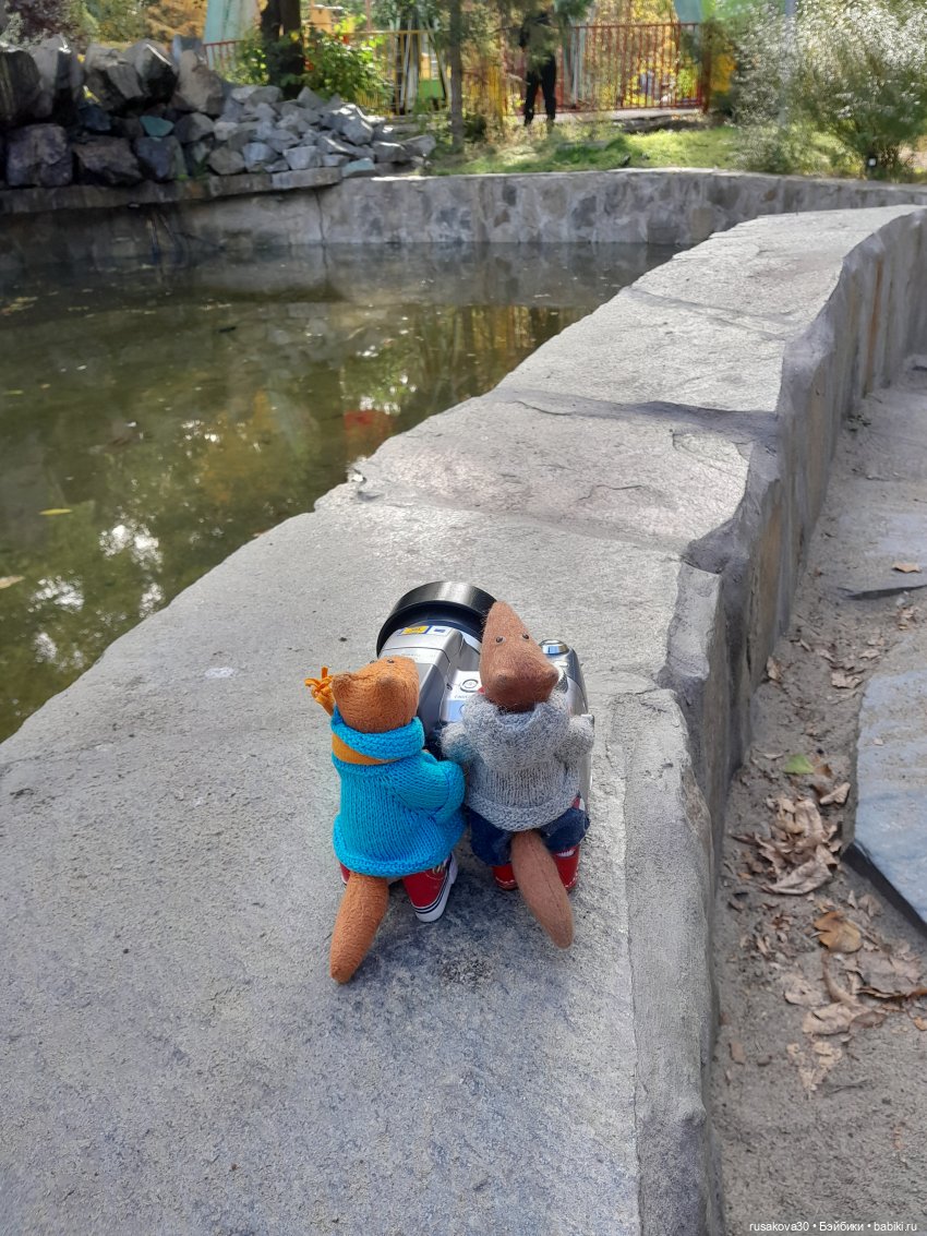 Конкурс прошел, осталось много фото (фото 7)