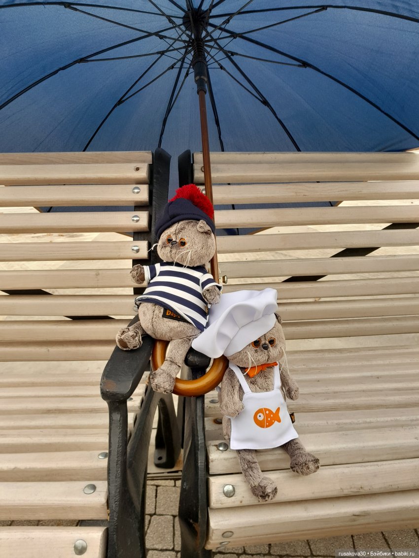 Ура! Я опять на сайте — Кот Басик