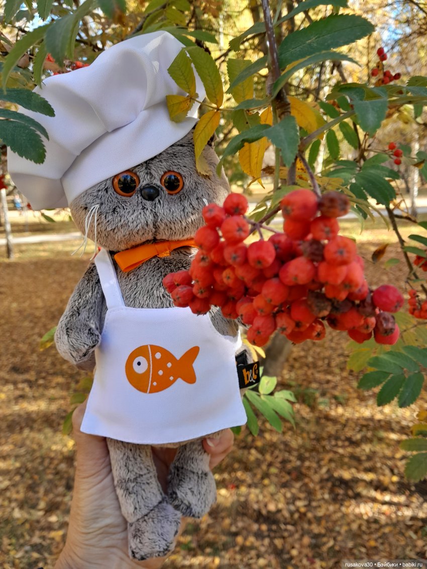 Ура! Я опять на сайте — Кот Басик (фото 5)