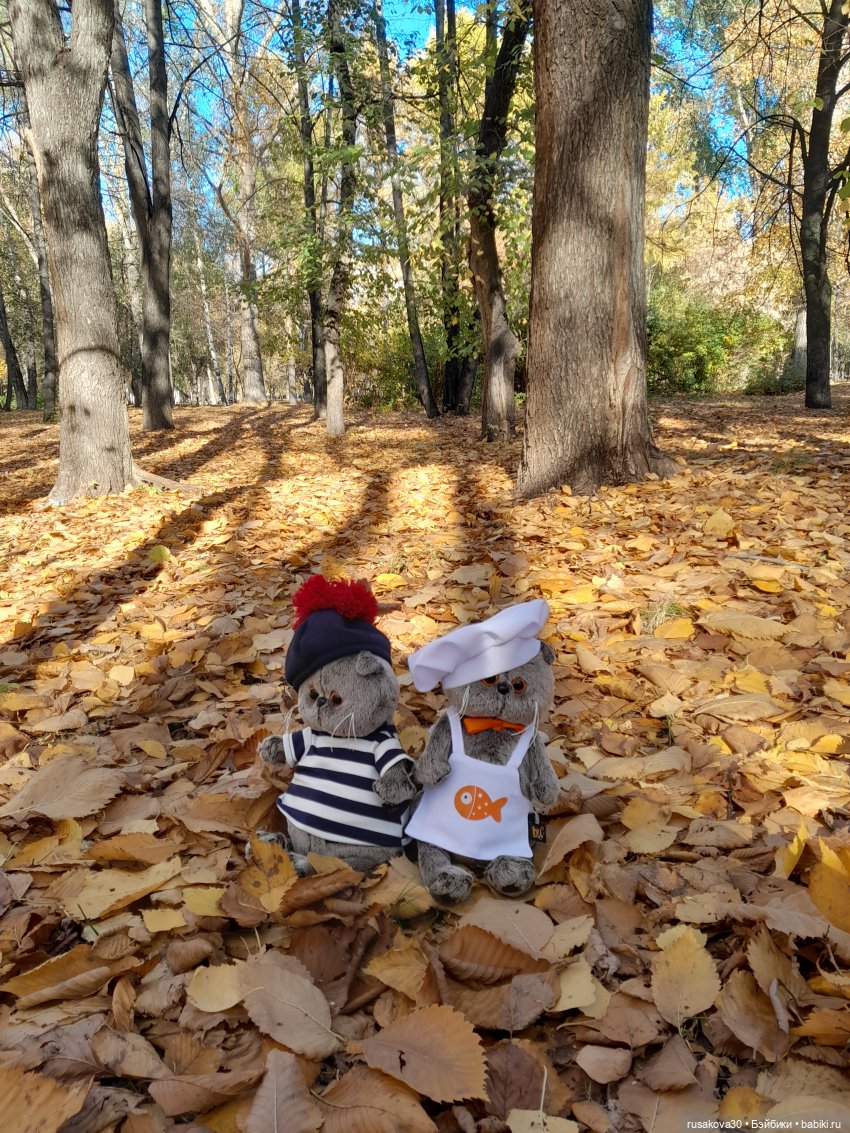 Ура! Я опять на сайте — Кот Басик (фото 9)