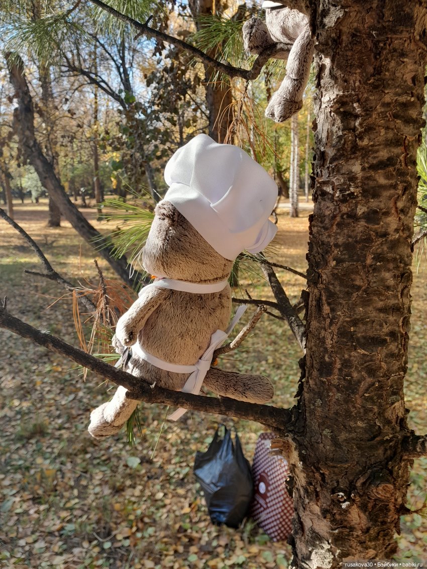 Ура! Я опять на сайте — Кот Басик