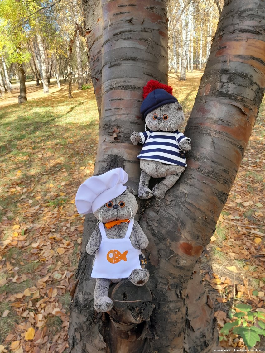 Ура! Я опять на сайте — Кот Басик (фото 6)