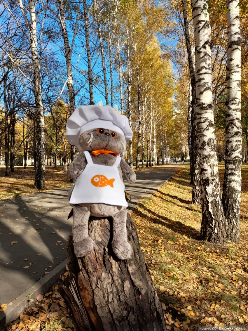 Ура! Я опять на сайте — Кот Басик (фото 10)