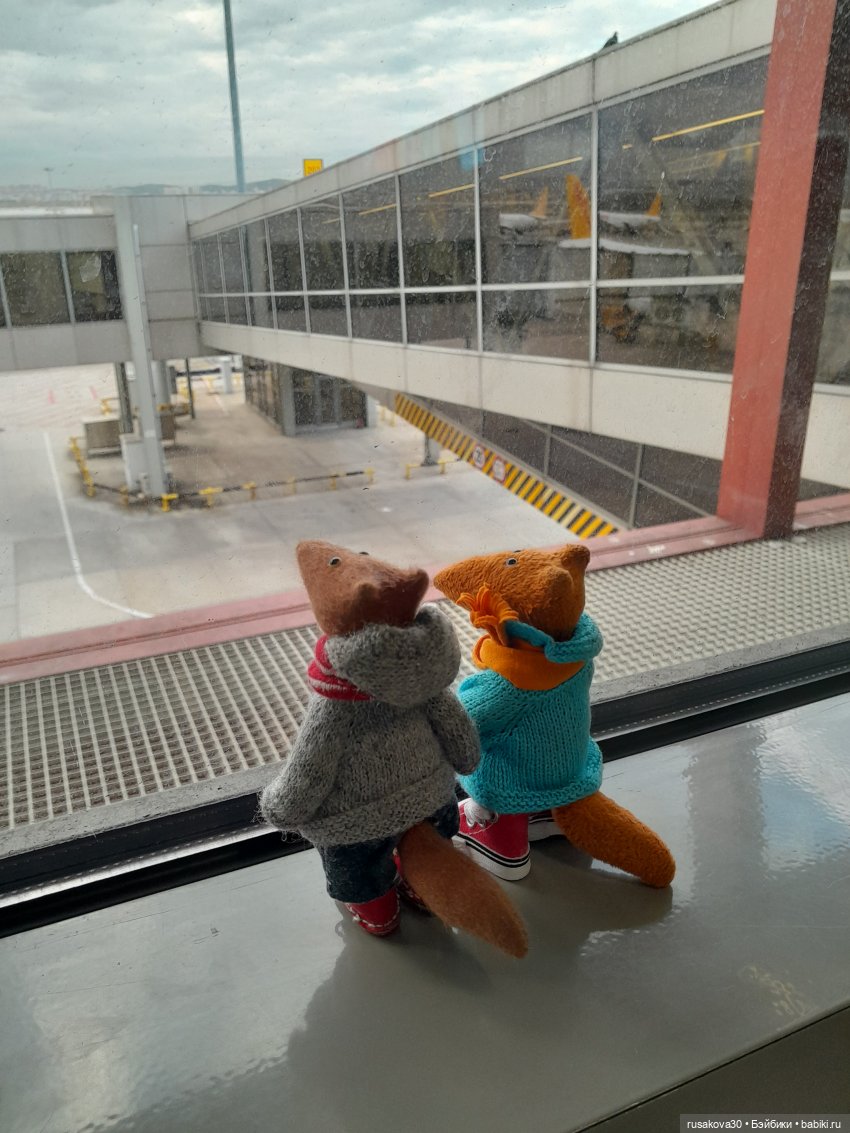 Путешествия Людвига и Нильса (фото 4)