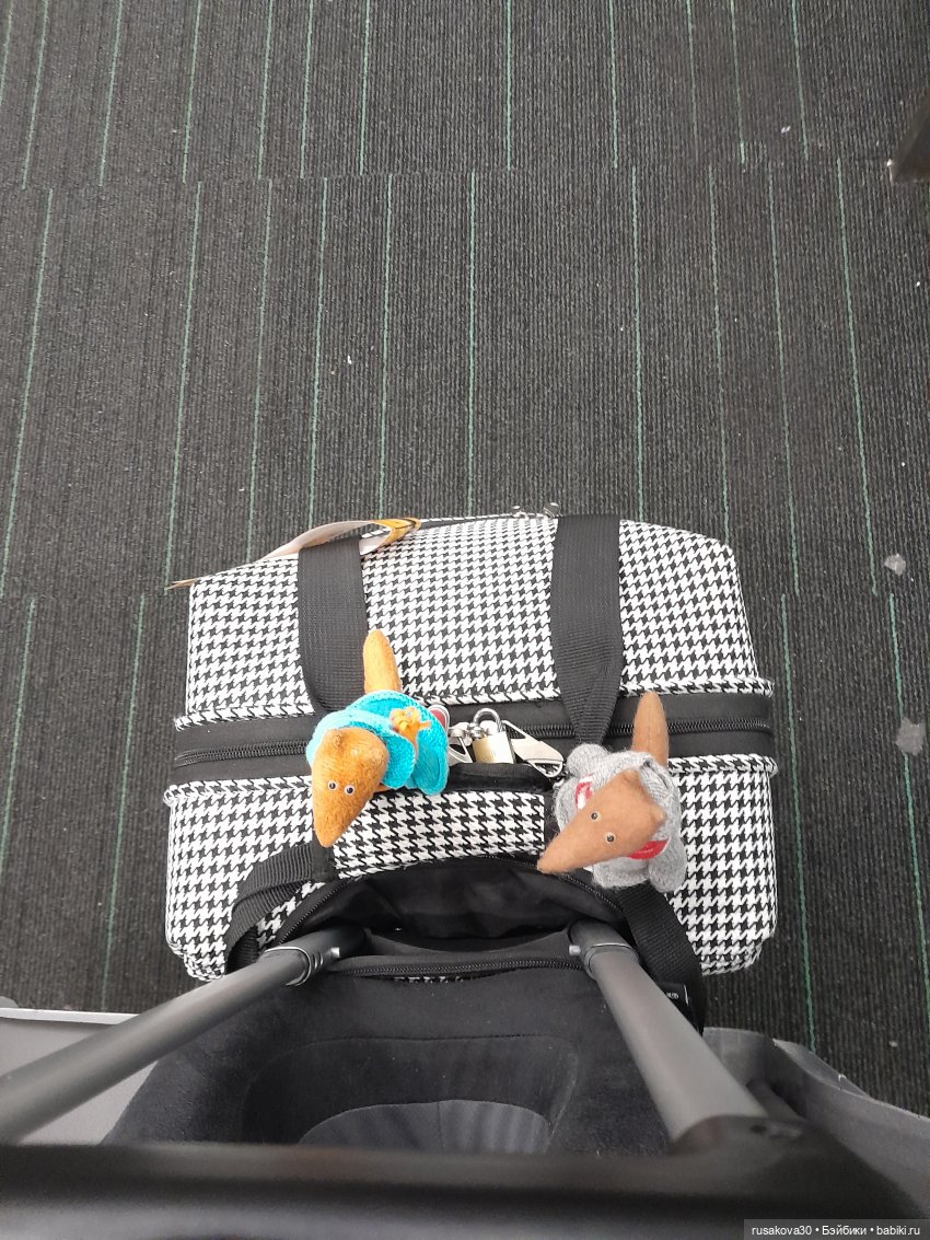 Путешествия Людвига и Нильса