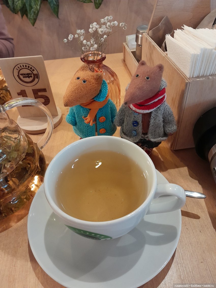 Путешествия Людвига и Нильса (фото 9)