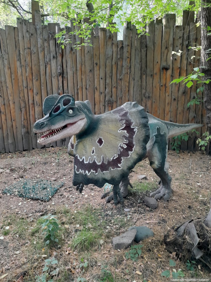 Путешествия Людвига и Нильса