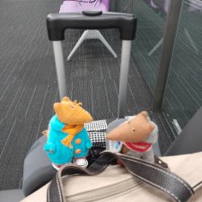 Путешествия Людвига и Нильса