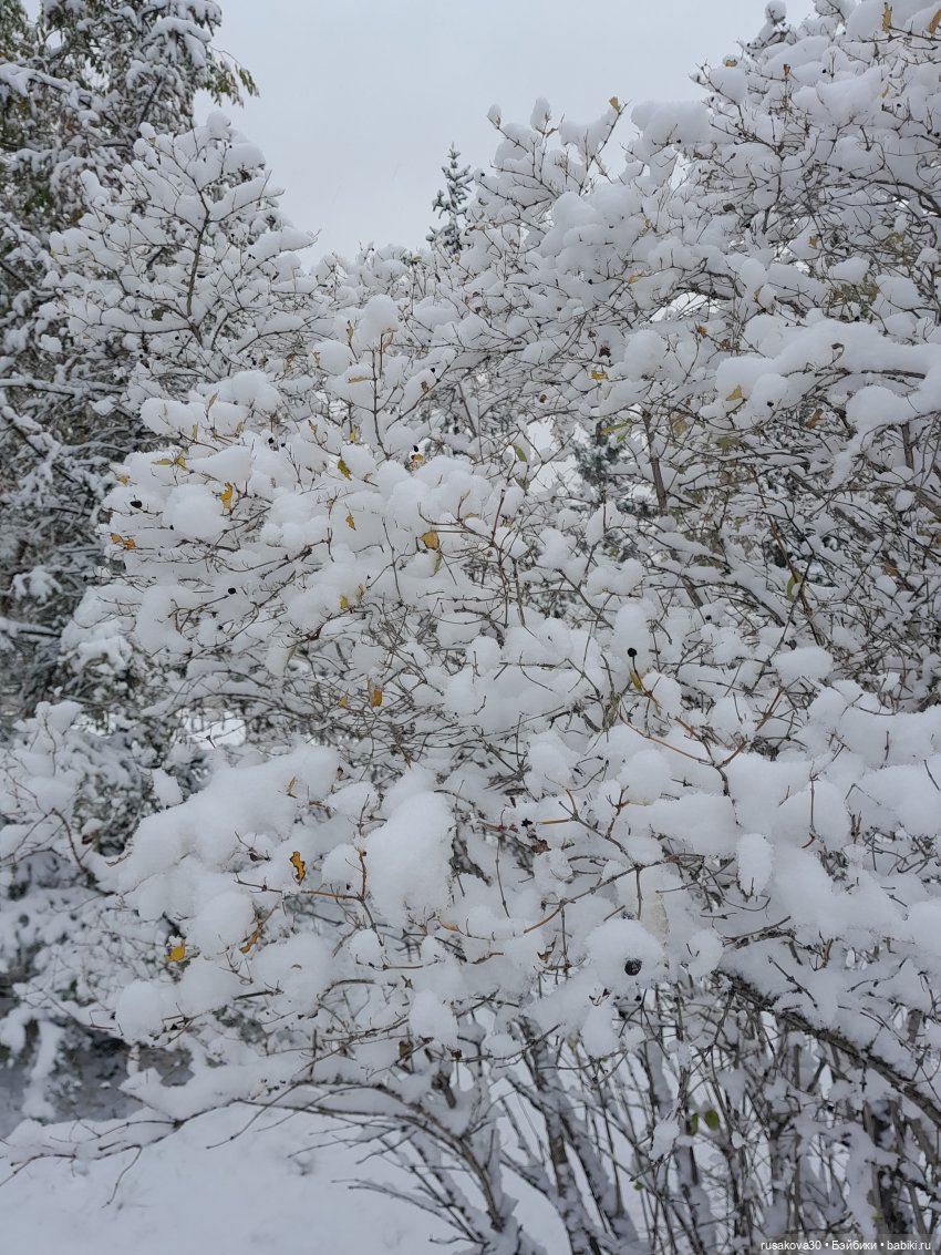 Путешествия Людвига и Нильса