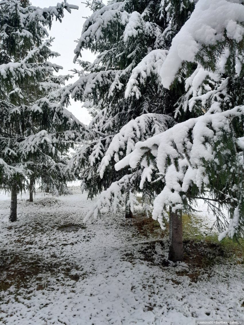 Путешествия Людвига и Нильса