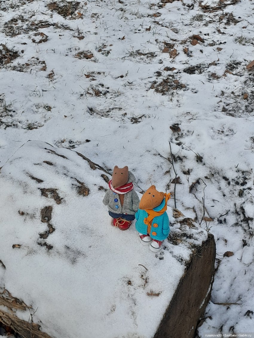 Путешествия Людвига и Нильса