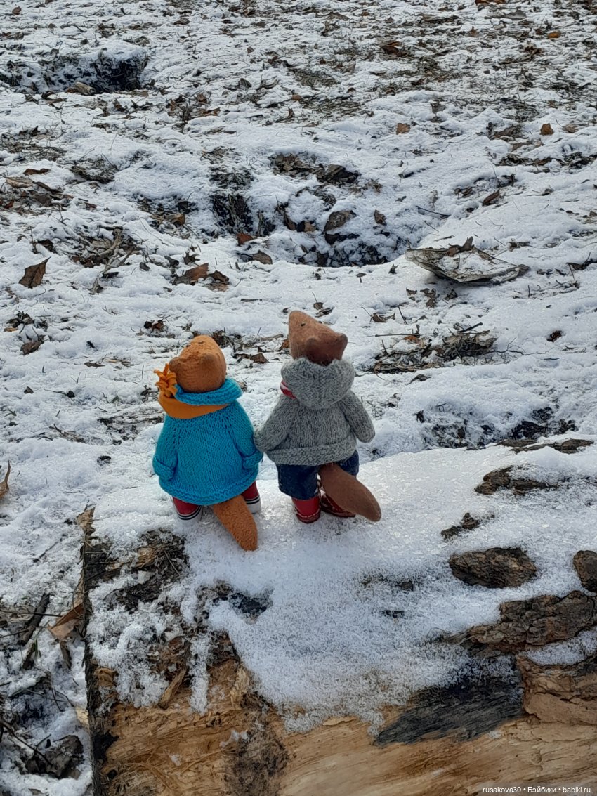 Путешествия Людвига и Нильса