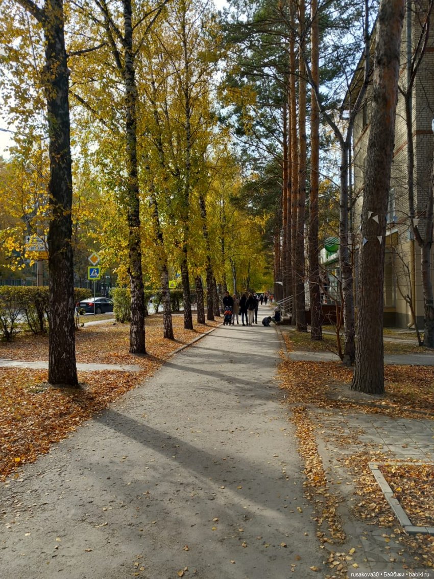 Новосибирский Академгородок ,прогулка с Басиками