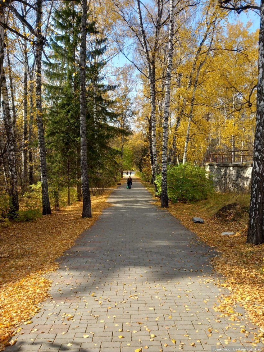 Новосибирский Академгородок ,прогулка с Басиками (фото 8)