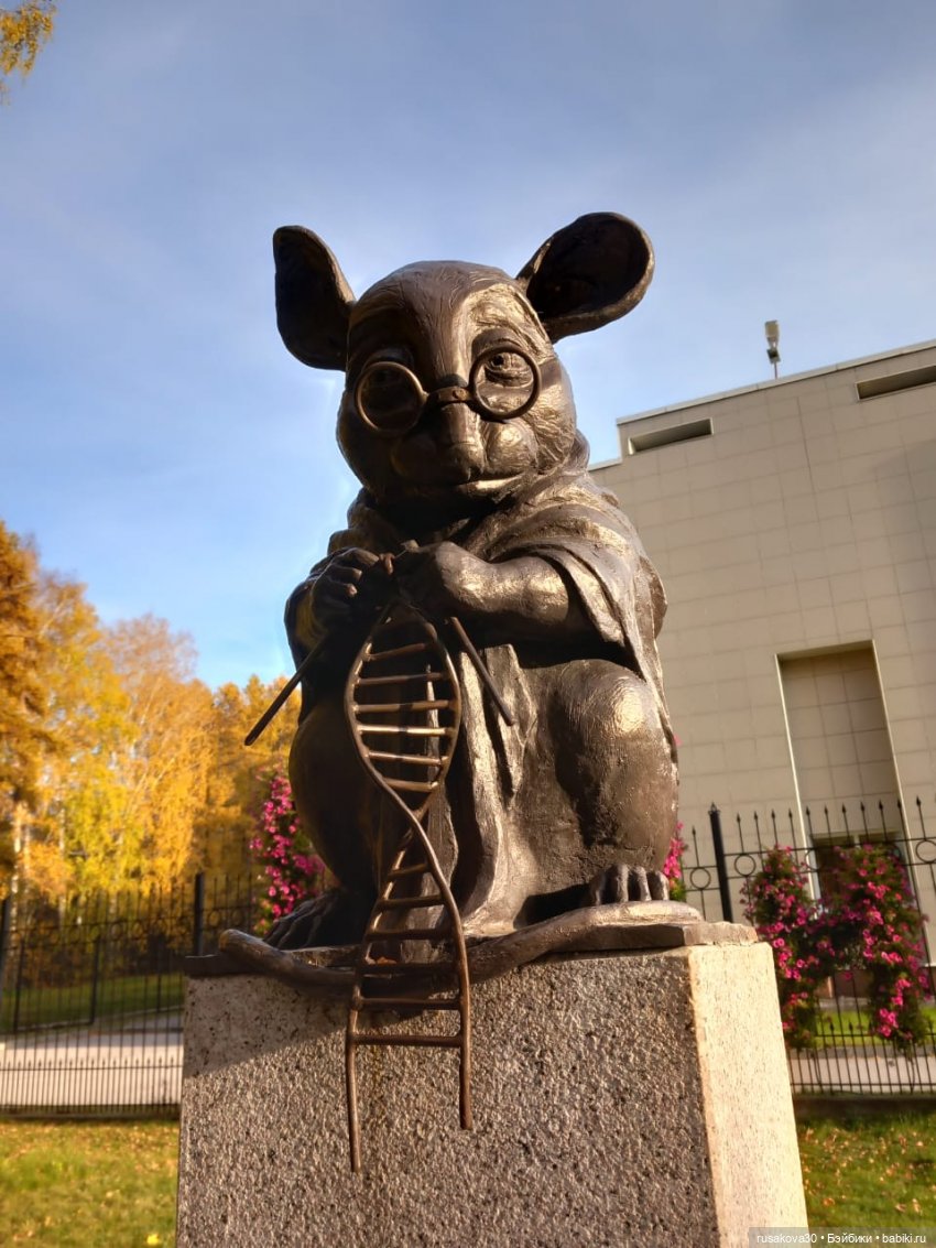 Новосибирский Академгородок ,прогулка с Басиками