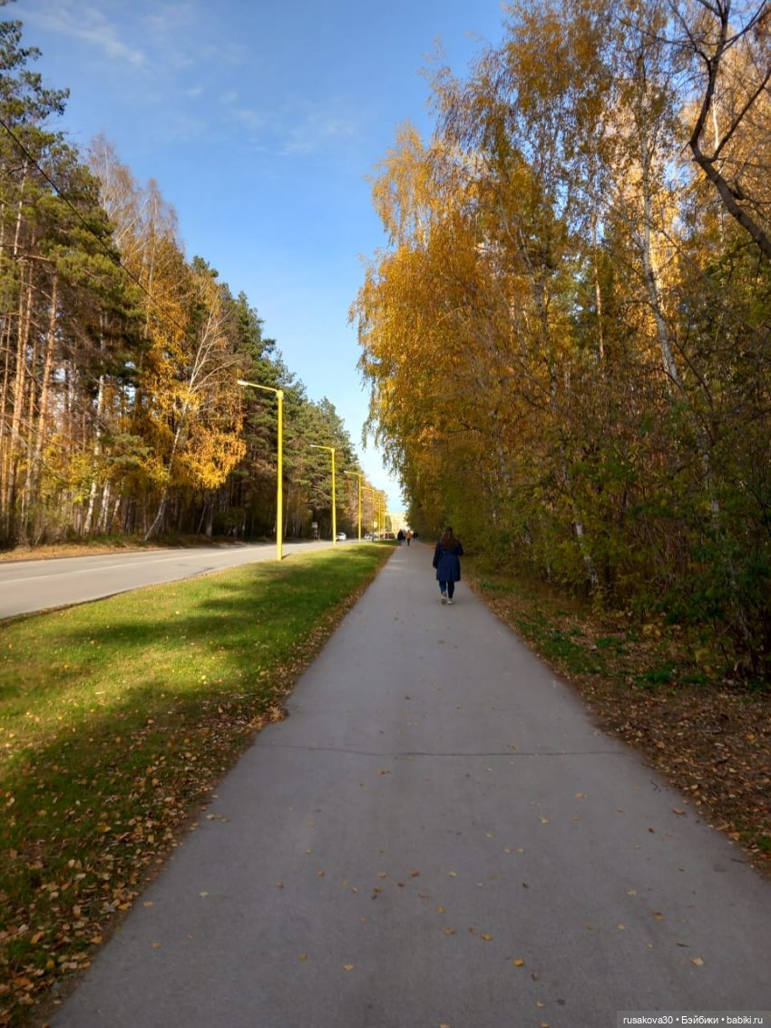 Новосибирский Академгородок ,прогулка с Басиками (фото 6)