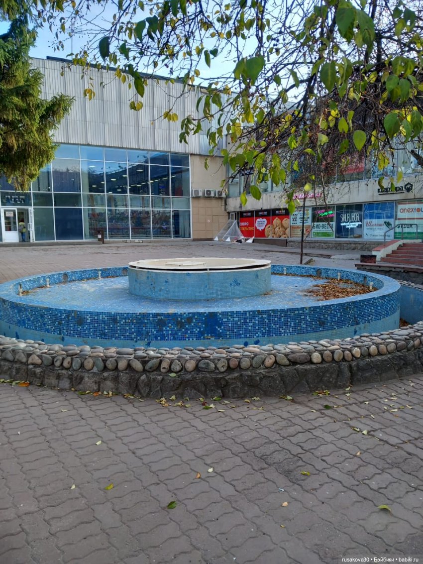 Новосибирский Академгородок ,прогулка с Басиками