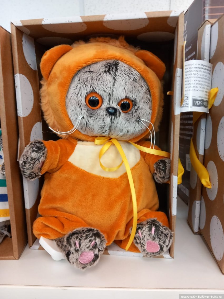 Басики гуляют по Академгородку