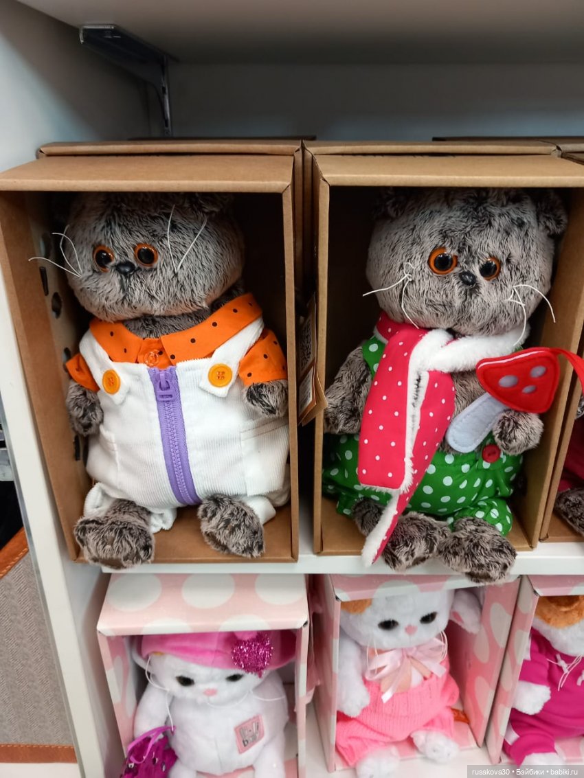 Басики гуляют по Академгородку (фото 10)