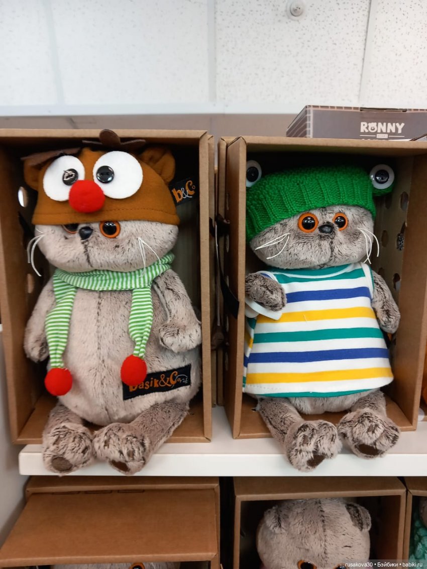 Басики гуляют по Академгородку