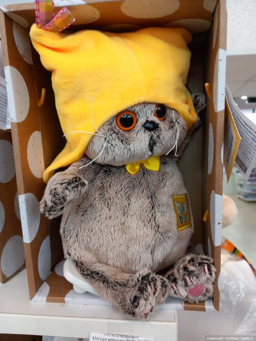 Басики гуляют по Академгородку