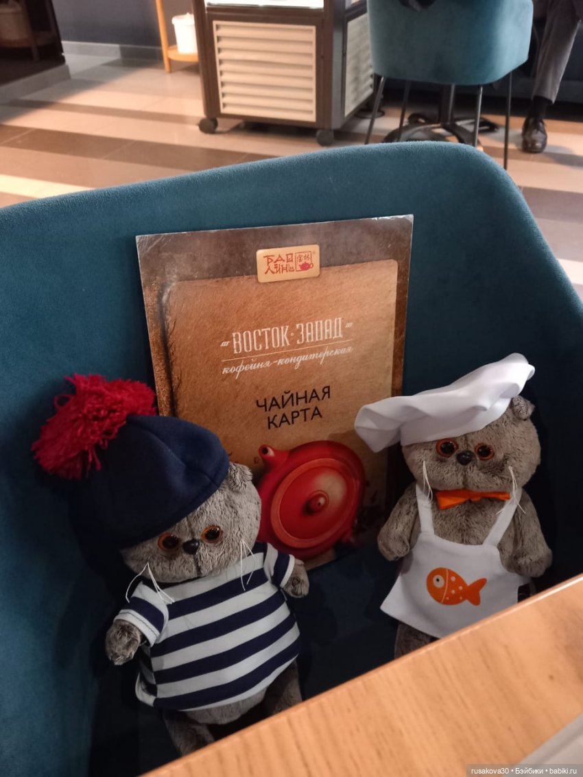 Новосибирский Академгородок ,прогулка с Басиками