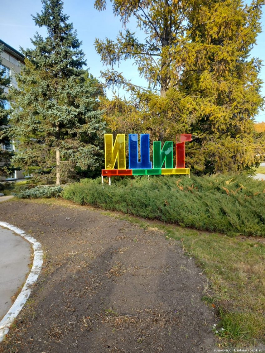 Новосибирский Академгородок ,прогулка с Басиками (фото 3)