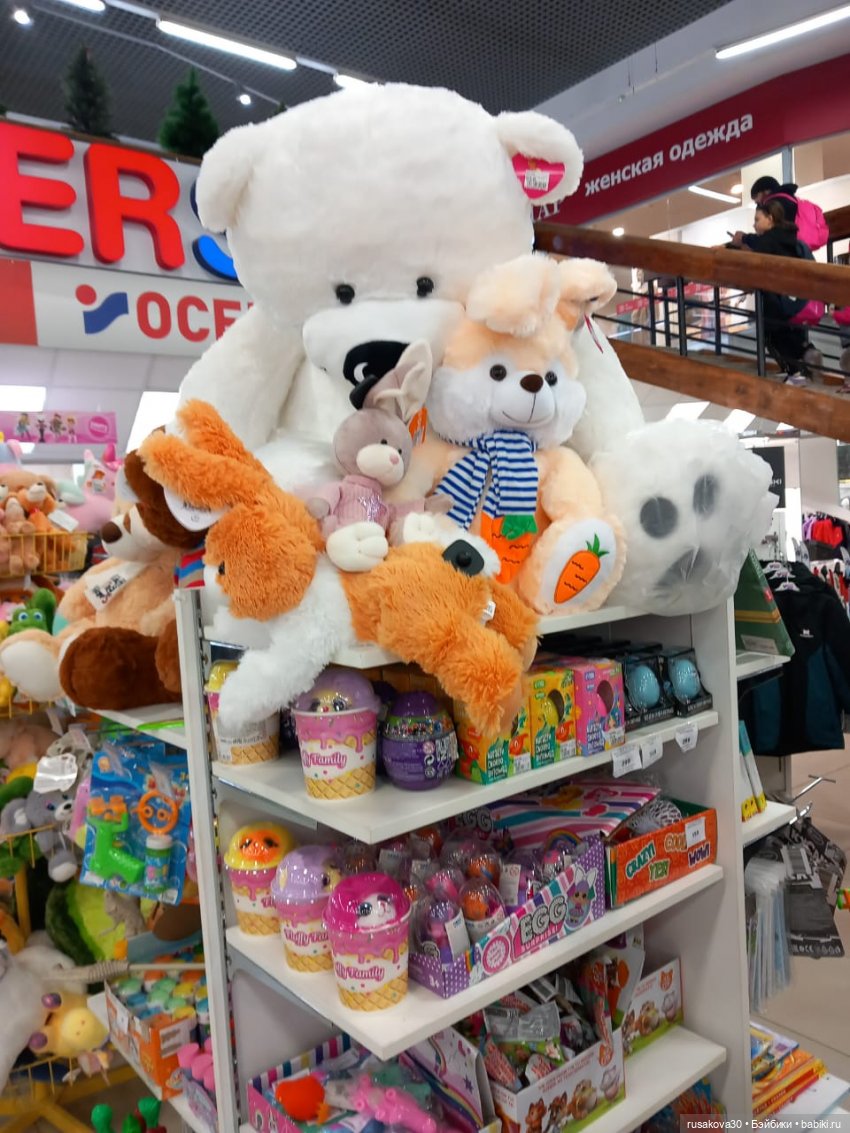 Басики гуляют по Академгородку (фото 8)