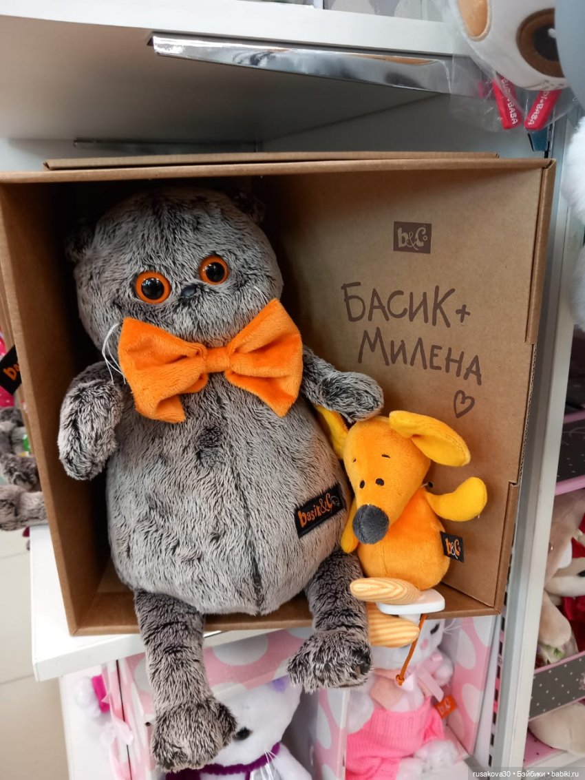 Басики гуляют по Академгородку