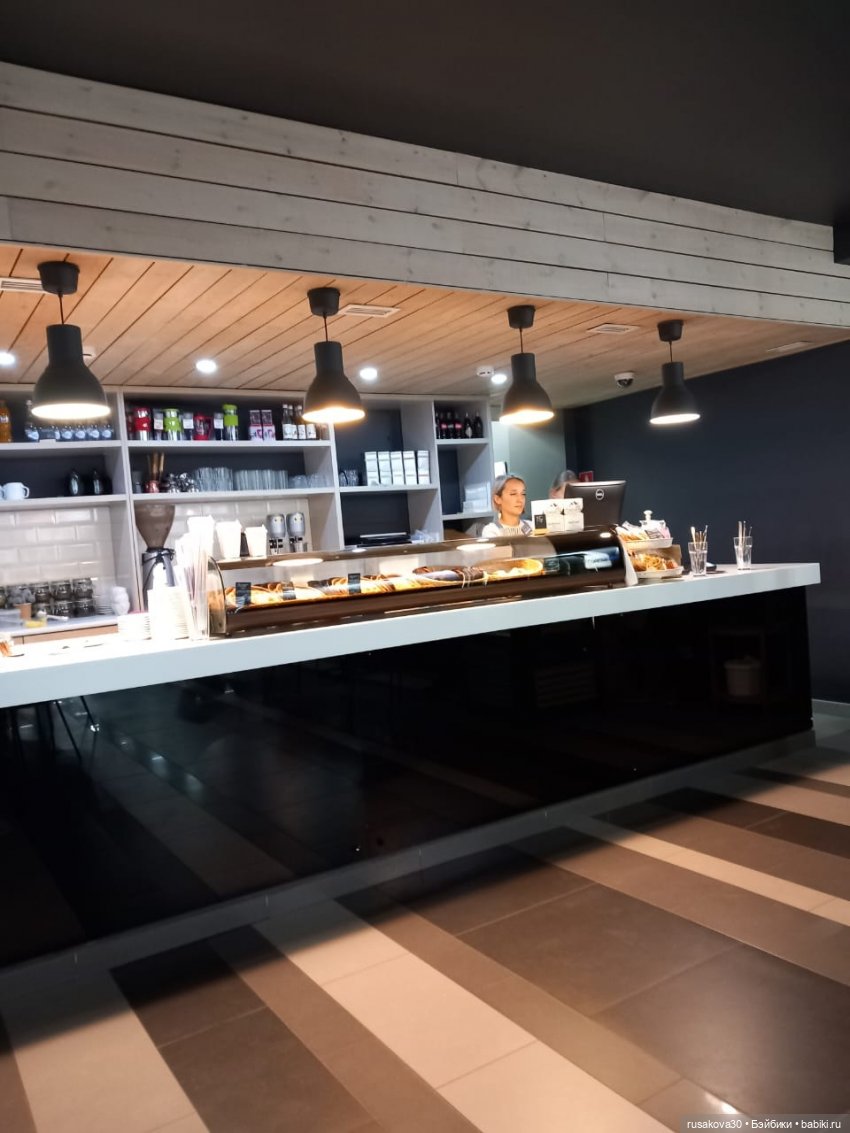 Новосибирский Академгородок ,прогулка с Басиками