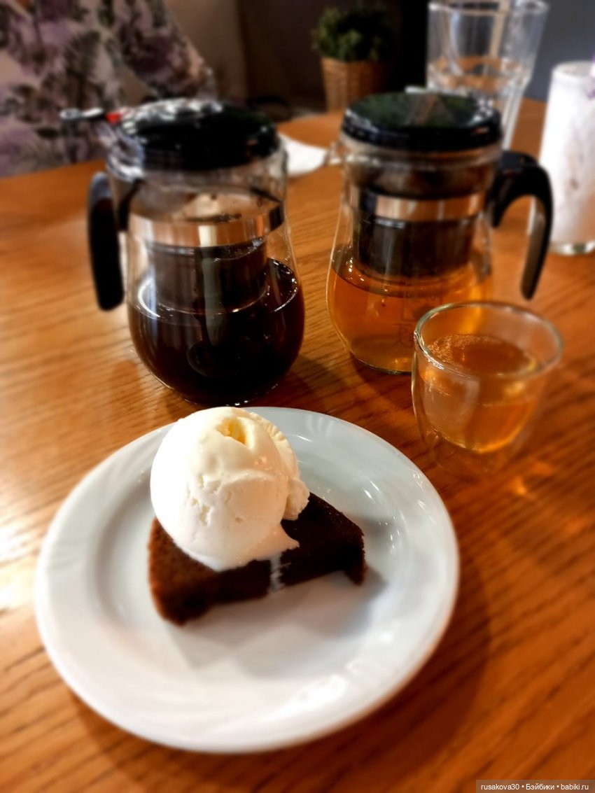 Новосибирский Академгородок ,прогулка с Басиками