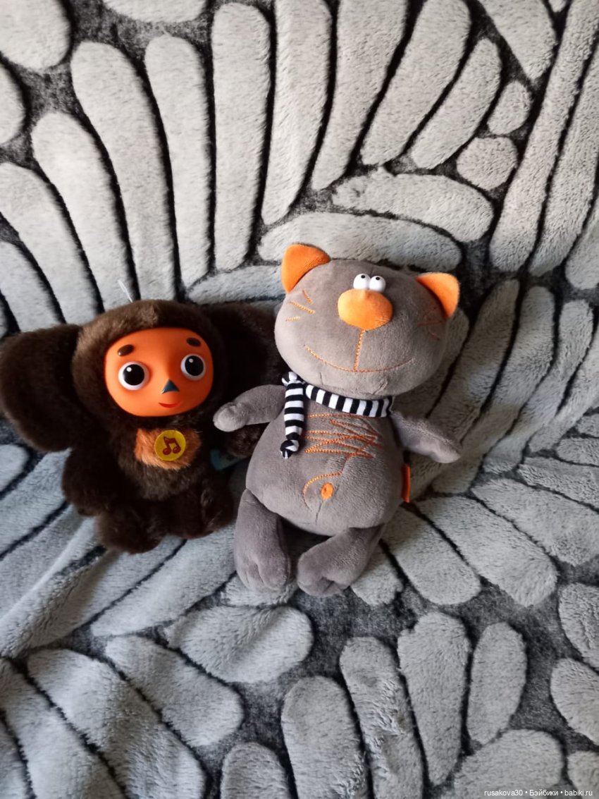 Басики гуляют по Академгородку