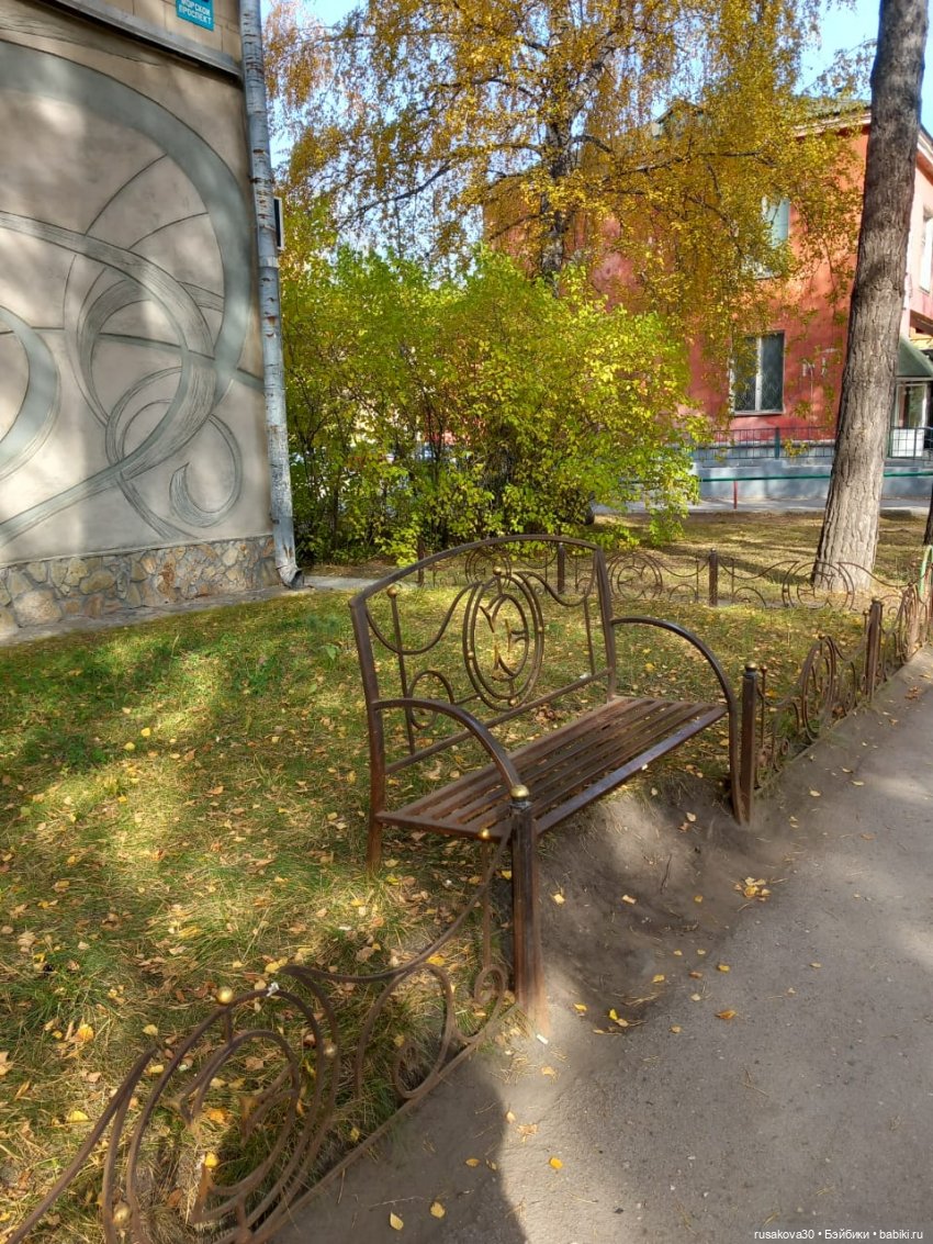 Басики гуляют по Академгородку