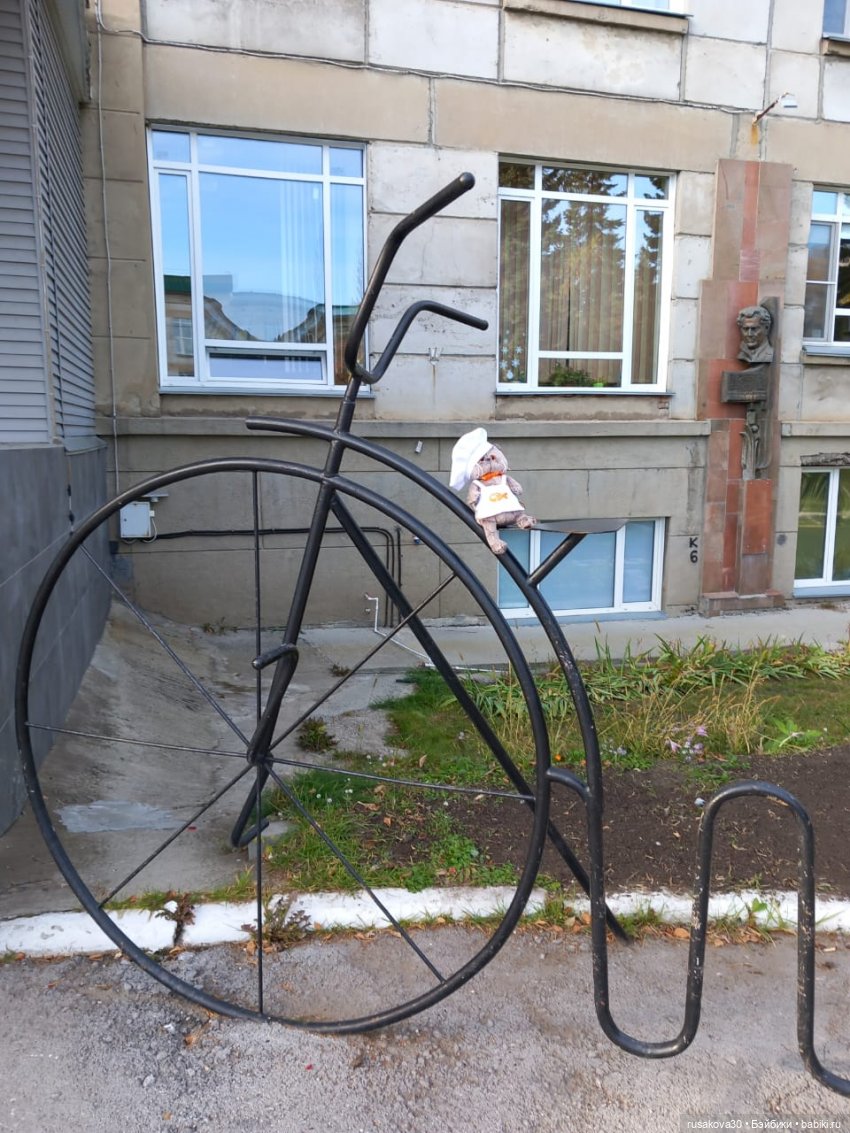 Басики гуляют по Академгородку