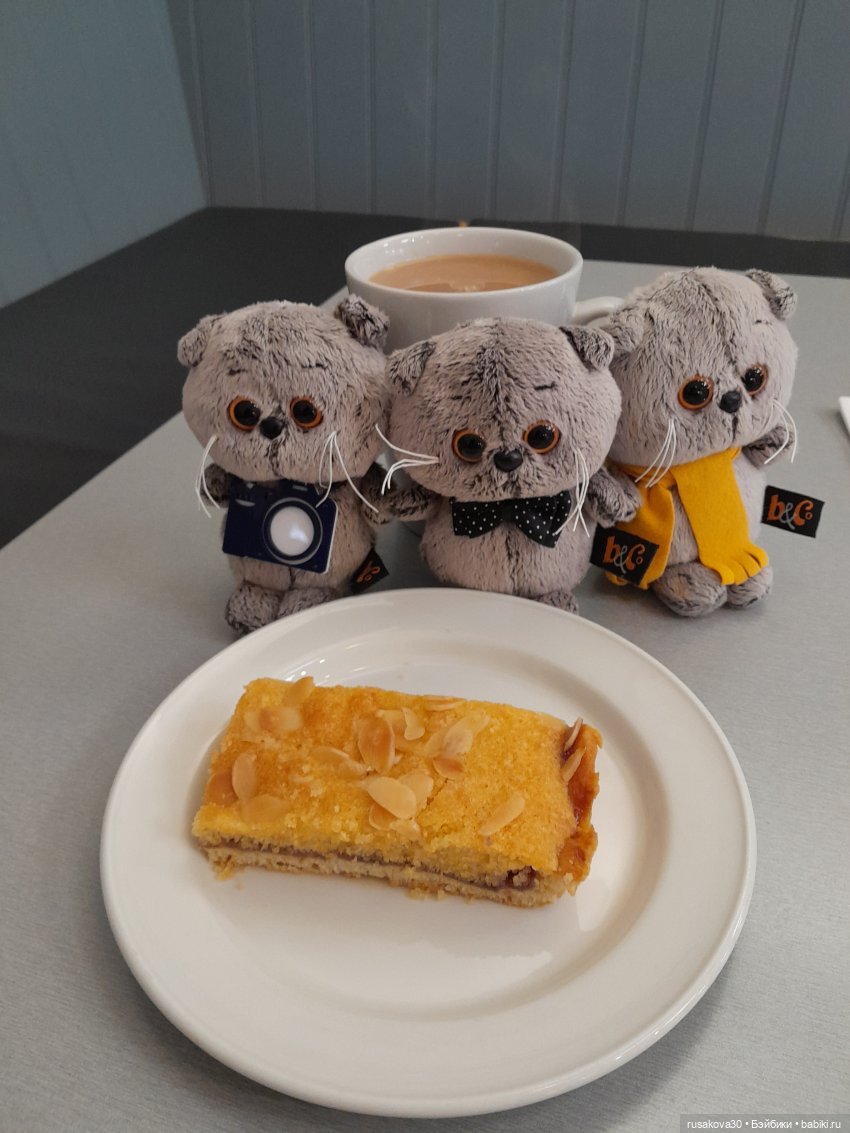 Басики путешествуют по Англии (фото 6)