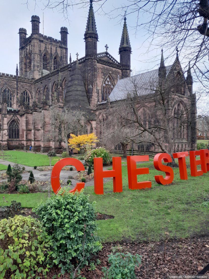 Басики путешествуют по Англии (фото 7)