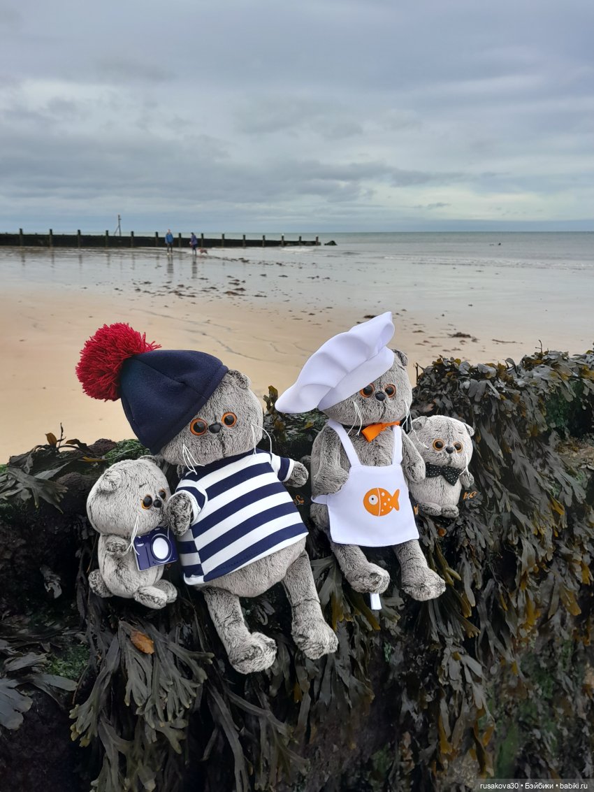 Басики путешествуют по Англии (фото 3)