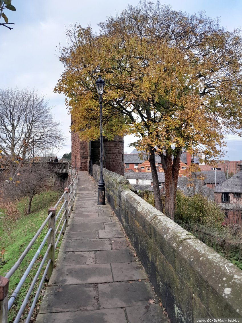 Басики путешествуют по Англии