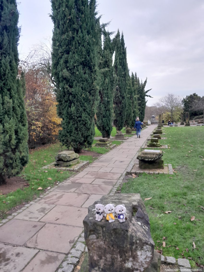 Басики путешествуют по Англии