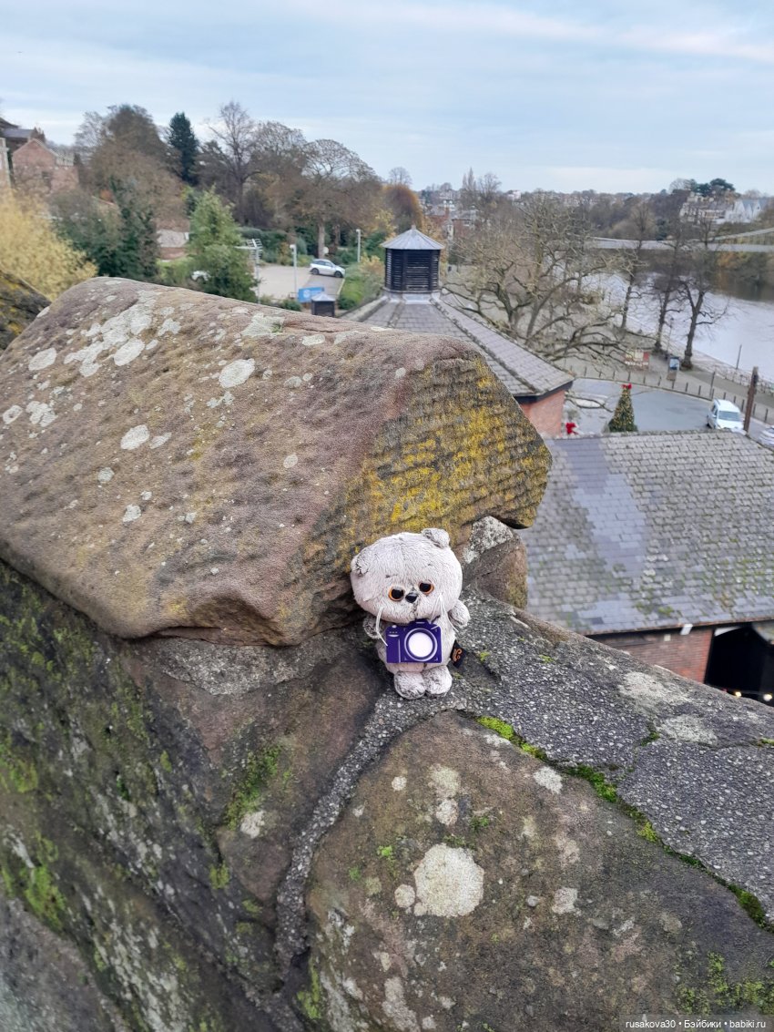 Басики путешествуют по Англии