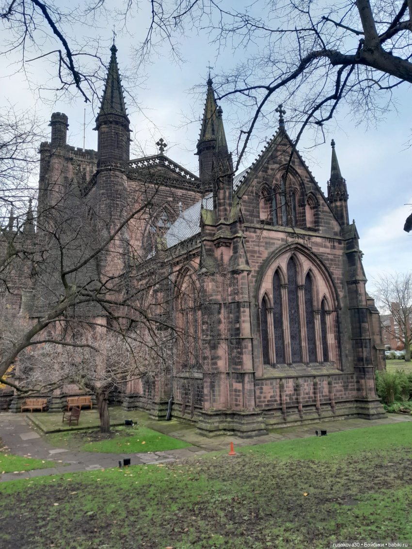 Басики путешествуют по Англии (фото 9)